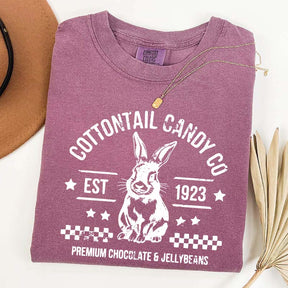 Pastel Easter Easter Egg Bunny T-Shirt