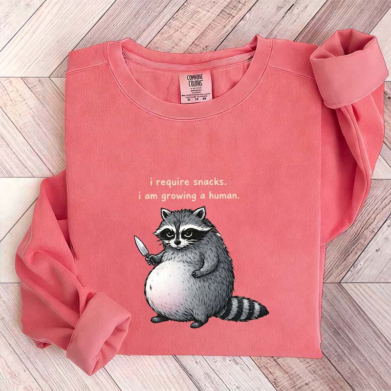 Sarcastic Raccoon Baby Reveal Sweatshirt