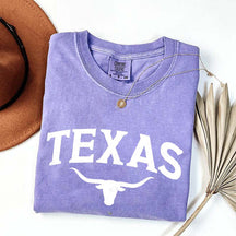 Retro Comfort Colors Texas T-Shirt