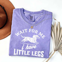 I Have Little Legs Dachshund T-Shirt