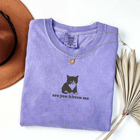 Are You Kitten Me Funny Cat Meme T-Shirt