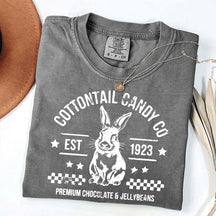 Pastel Easter Easter Egg Bunny T-Shirt