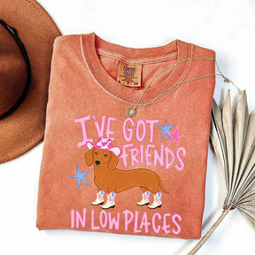 I've Got Friends In Low Places T-Shirt