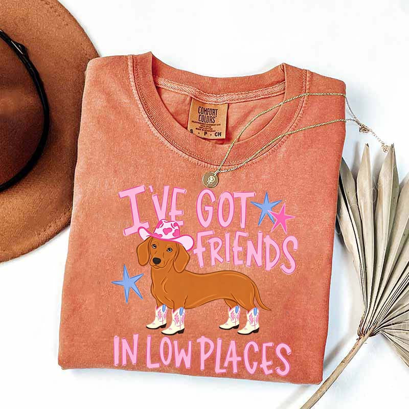 I've Got Friends In Low Places T-Shirt