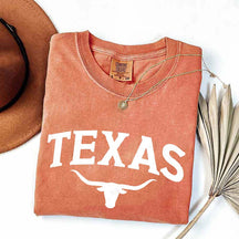 Retro Comfort Colors Texas T-Shirt