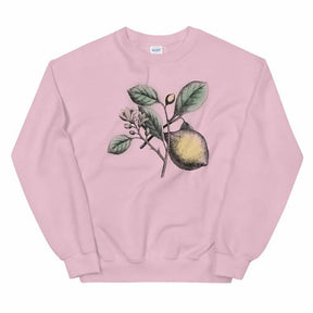 Lemon Botanical Vintage Image Unisex collegepaita