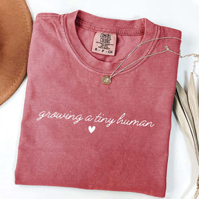 Pregnancy Announcement T-Shirt